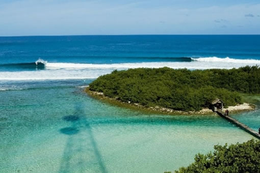 surf maldive