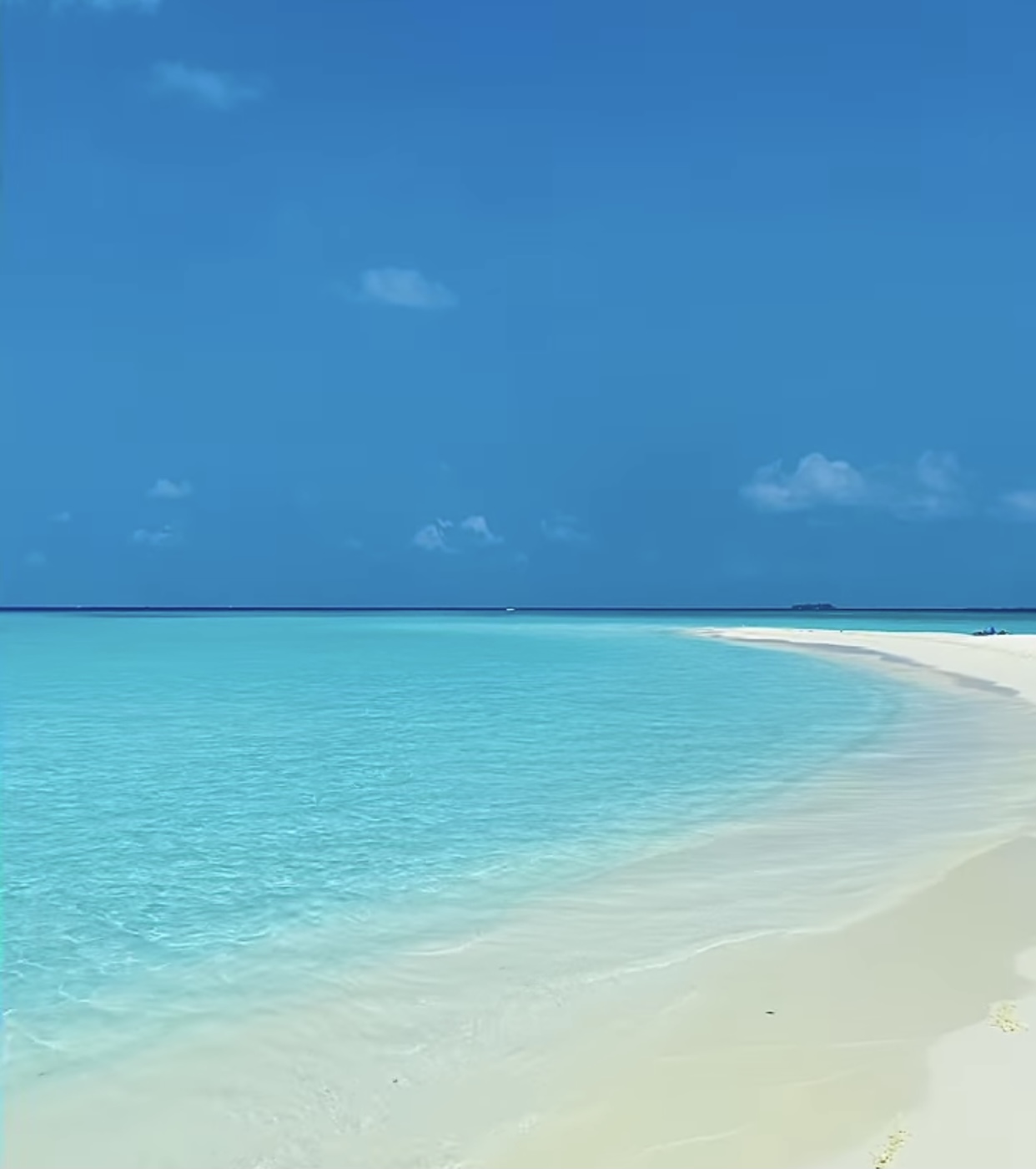 47CB42D1-0B70-4C72-A3A3-544E7BF71D74