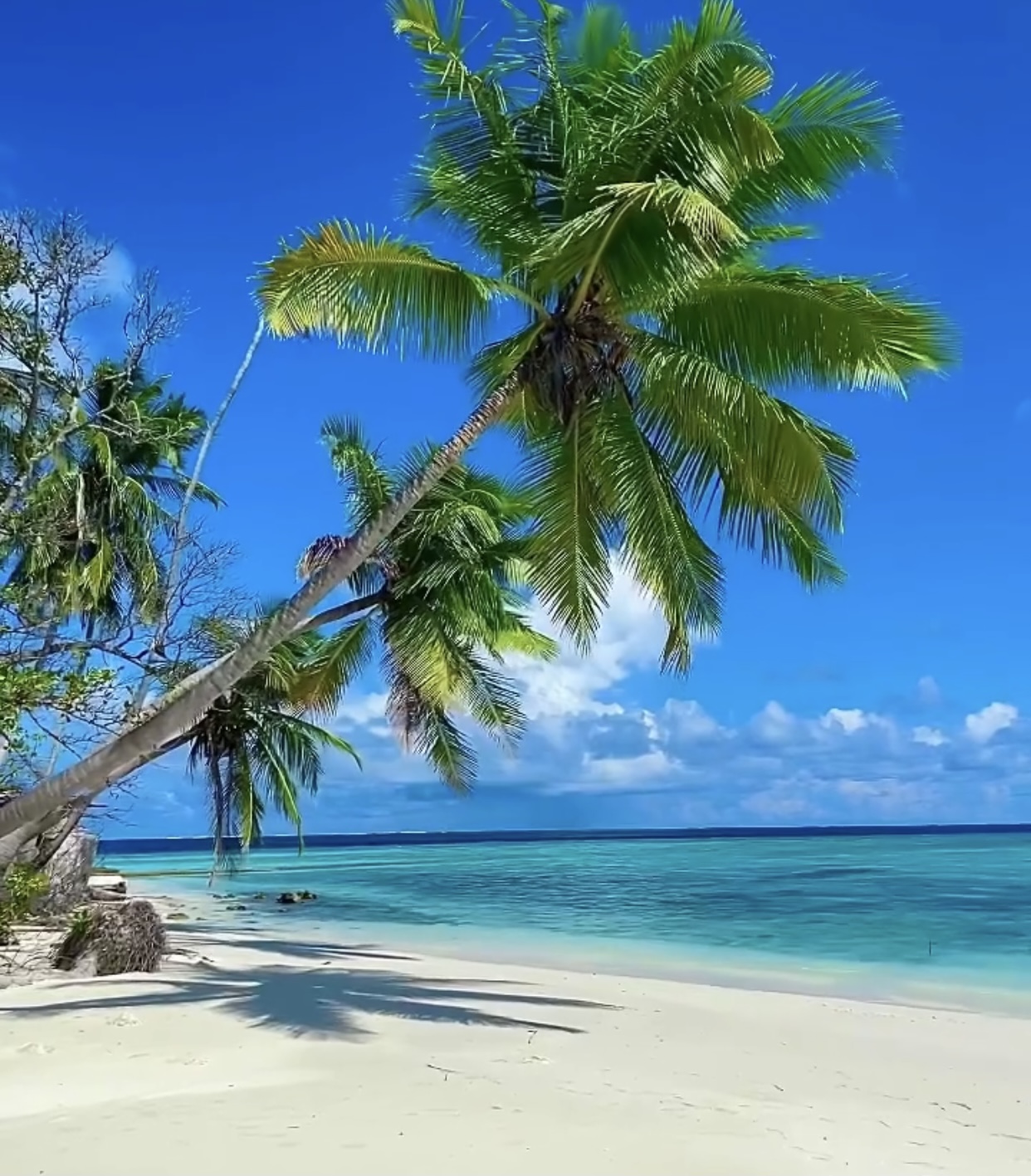 9B33D87E-AE60-4CCC-98FF-BF98C2C1F395