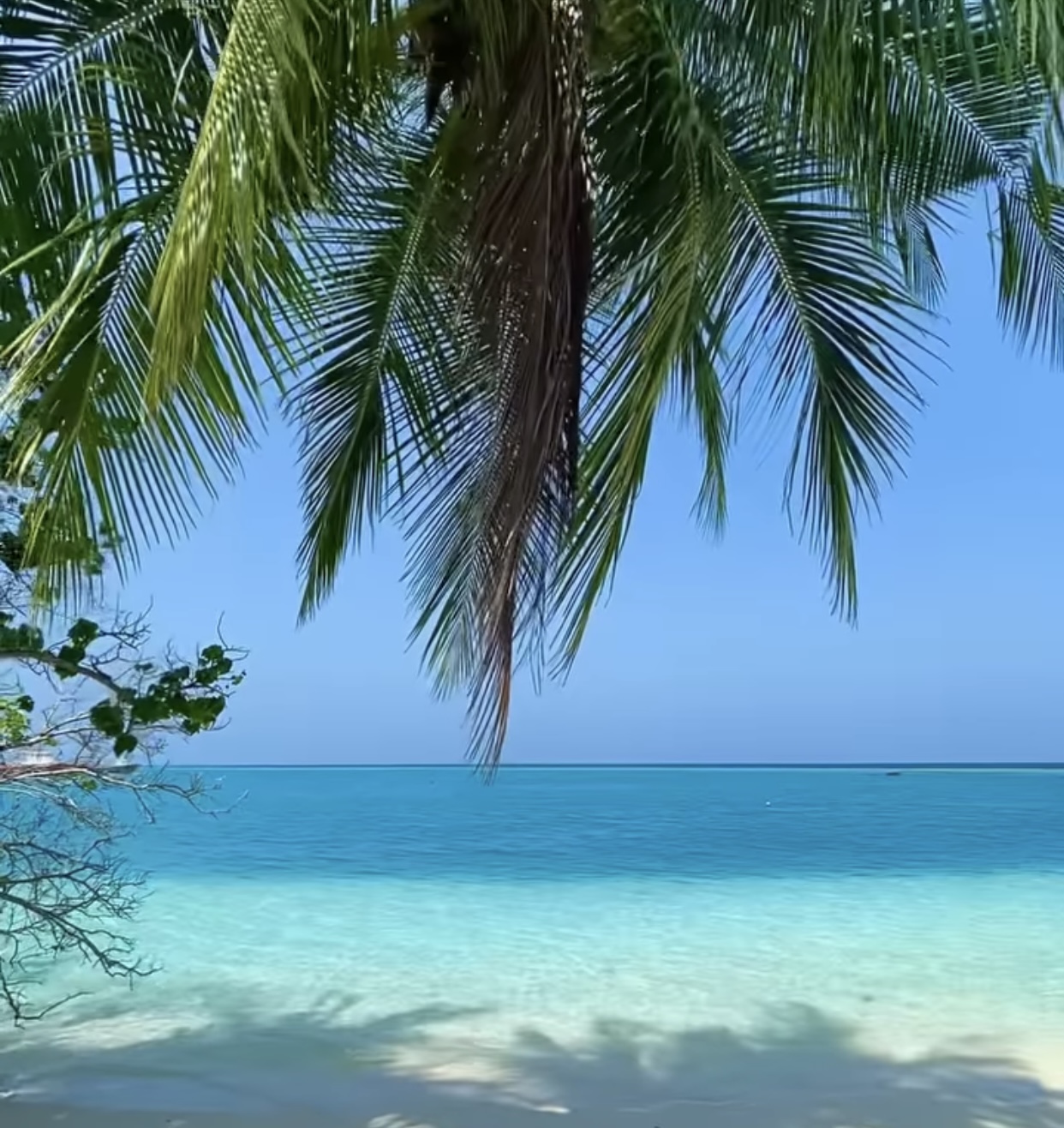 B30F941F-AEF0-48E3-84BC-F3937C7820D2