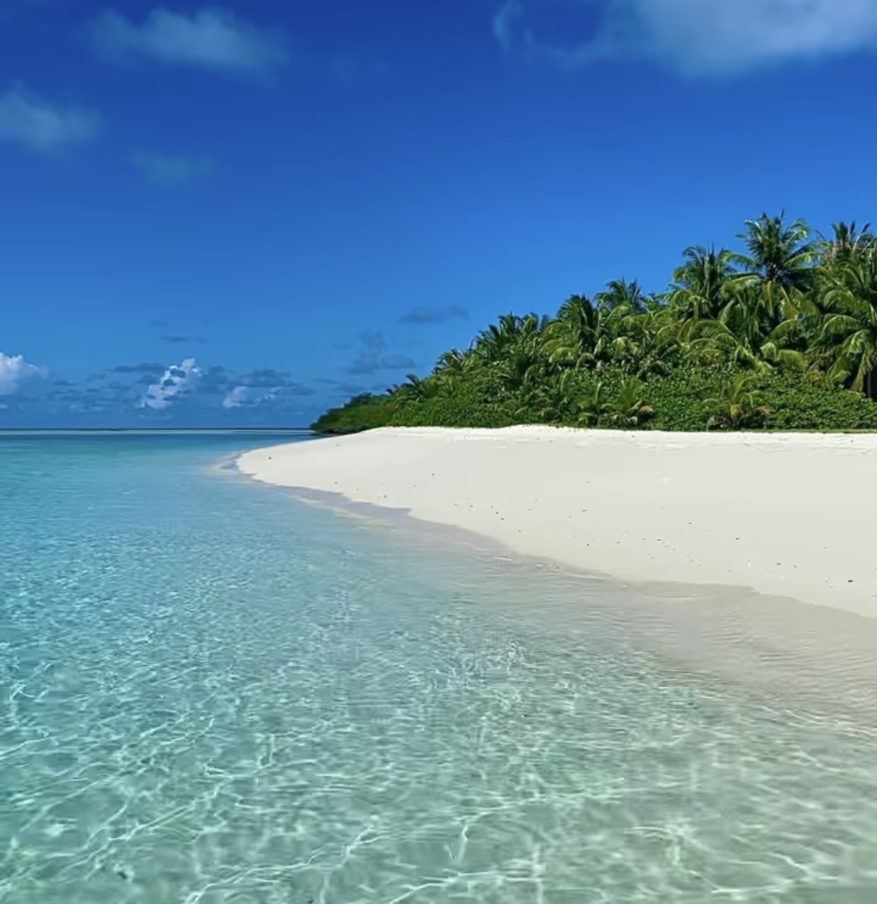 E978829E-00EB-4F99-9810-E1B29234E918